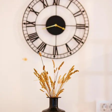 Stay,family Garden ,kids Friendly, Parking In Private Garage Apartment Split