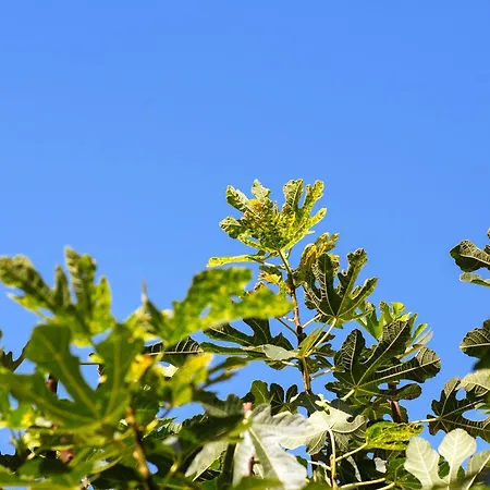 Stay,family Garden ,kids Friendly, Parking In Private Garage *